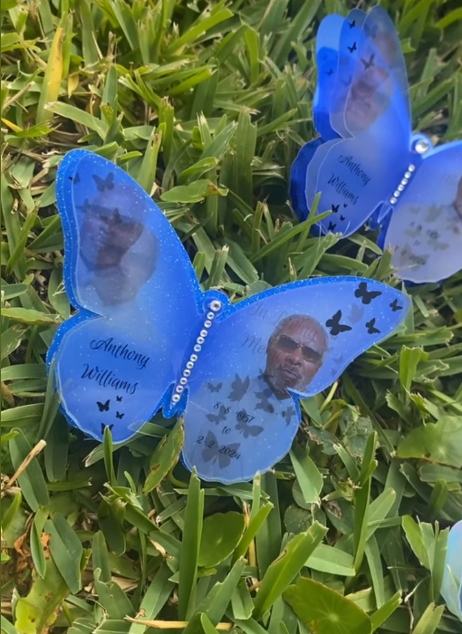 Butterfly Pin