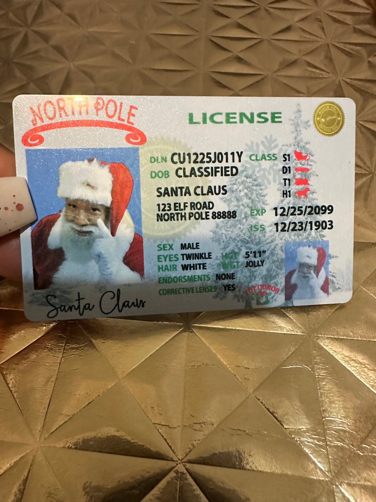 Santa License