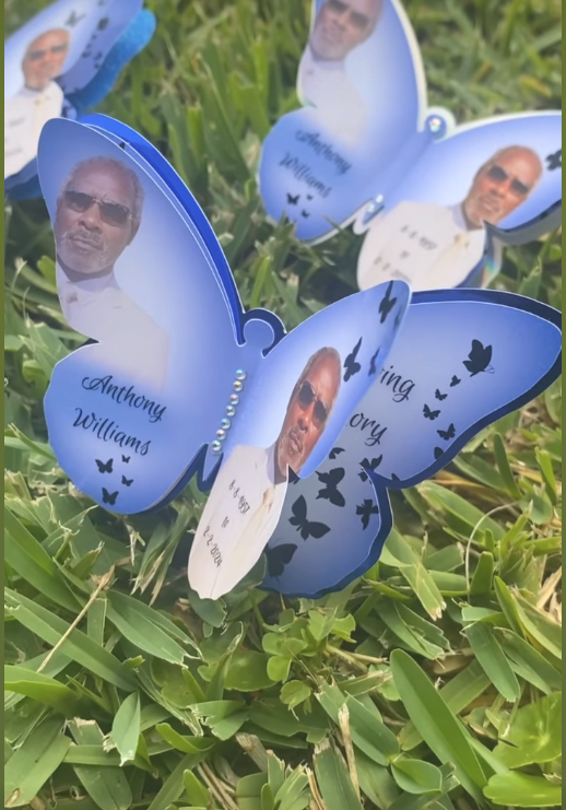 Butterfly Pin