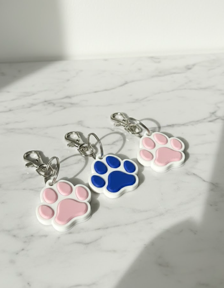 NFC Pet Tag