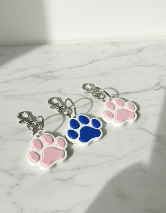 NFC Pet Tag