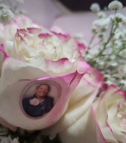 Photo Rose